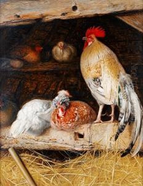 Poultry In A Barn - view 1