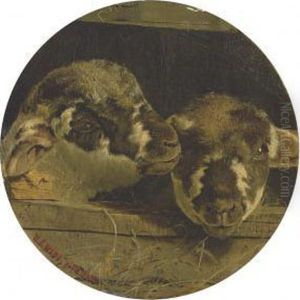 Two Lambs In A Barn