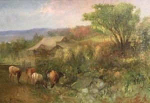 Cattle And Haystacks
