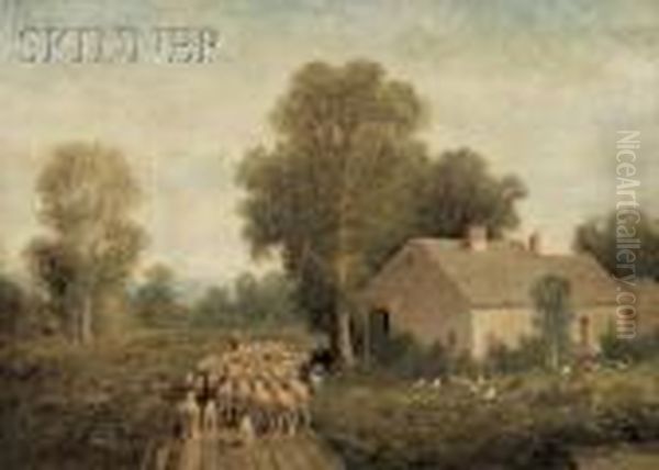 Farmhouse With Sheep And Chickens - view 1