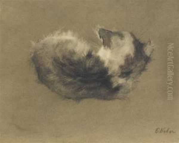 A Kitten Lying Down Viewed From The Back. - view 1