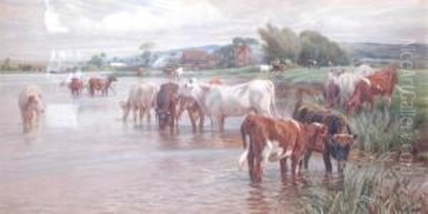 Cattle Watering The River - view 1
