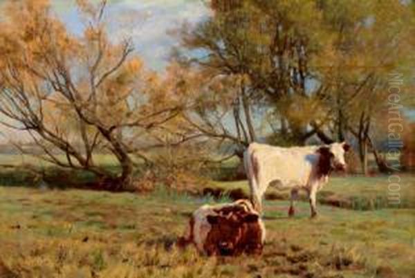 32 X 48 Cm, Gerahmt - view 1
