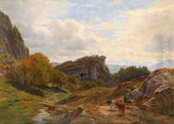 Weite Voralpenlandschaft Mit Kuhherde Amheimweg - view 1