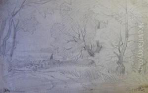 Landscapes Landscapes