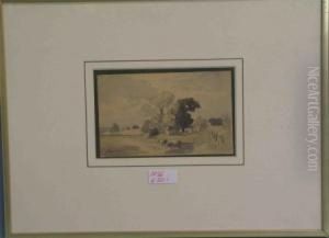 Weite Landschaft Mit Baumgruppe Und Schafherde Im Vordergrund
