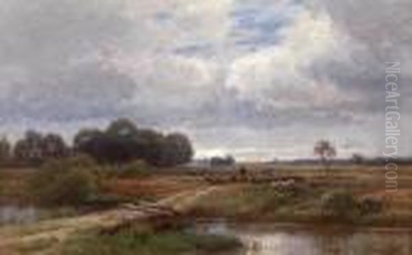 Sheep Returning Home - view 1