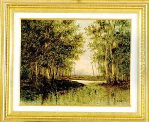 Duck Pond - view 1