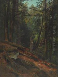 Philadelphia Forest Interior Philadelphia Forest Interior