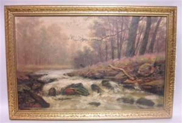 River Landscape - view 1
