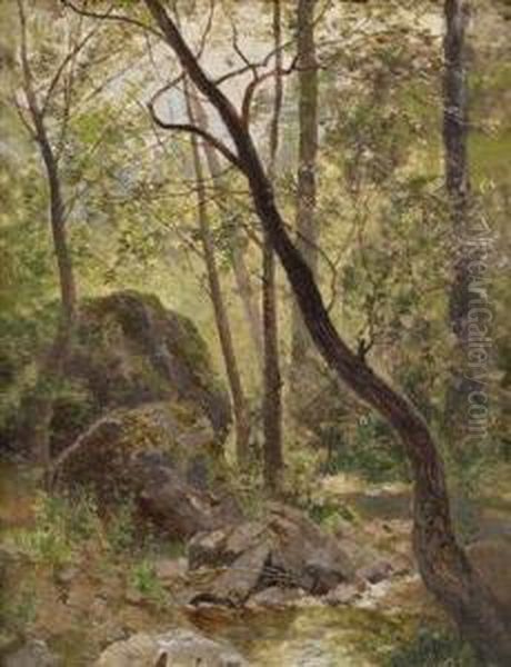 Woodland Stream - view 1