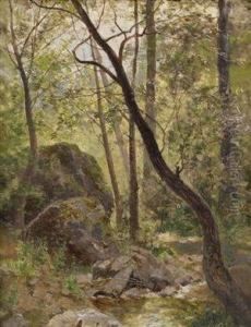 Woodland Stream by Rudolf Weber