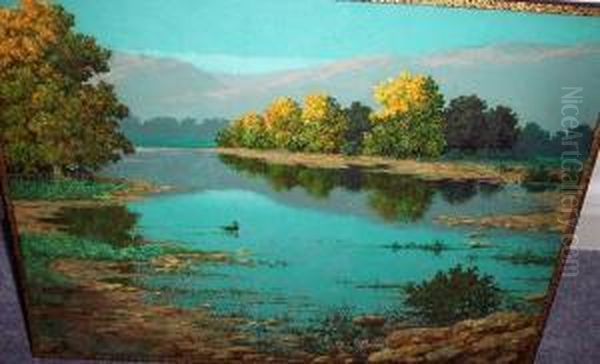 Lake Landscape With Duck - view 1