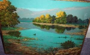 Lake Landscape With Duck