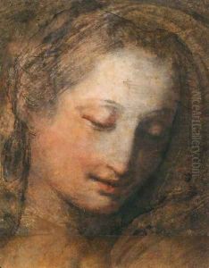 Face of a Woman with Downcast Eyes