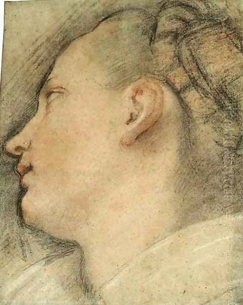 The Head Of A Young Woman, In Profile Looking Up To The Left - view 1