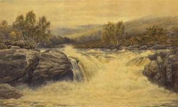 Rushing Falls - view 1