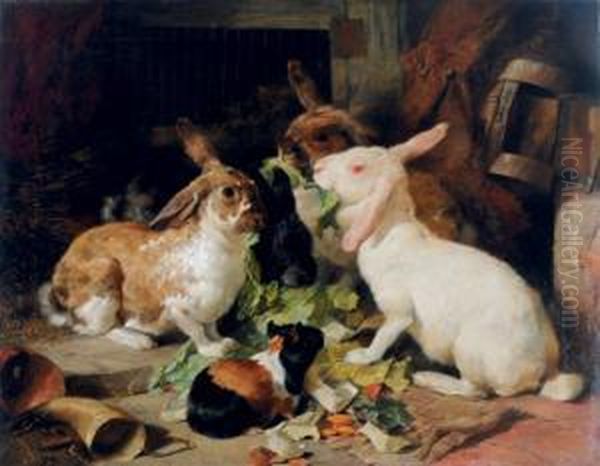 Feeding Time For The Rabbits - view 1