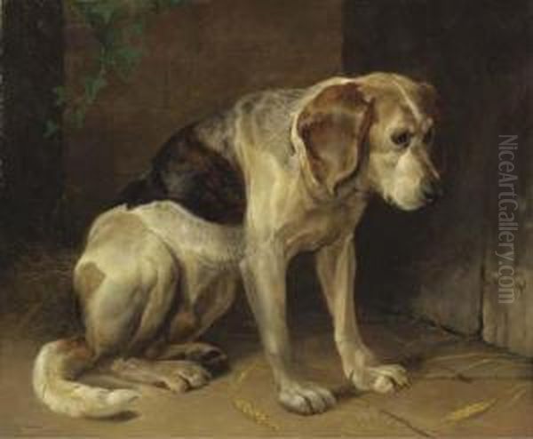A Hound - view 1