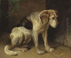 A Hound by Henry Weekes