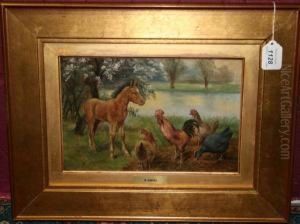Pony And Chickens