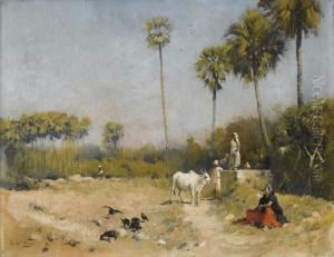 Puits En Inde Du Sud