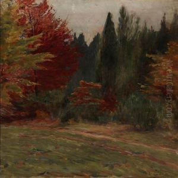 Autumn Forest - view 1