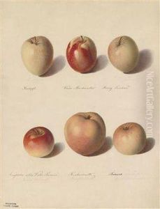 Verschiedene Apfel by Sebastian Wegmayr