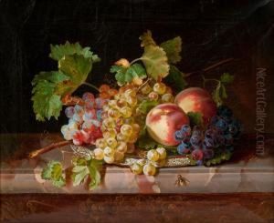 Still Life Withfruit by Sebastian Wegmayr