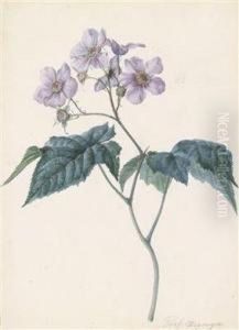 A Flowerstudy by Sebastian Wegmayr