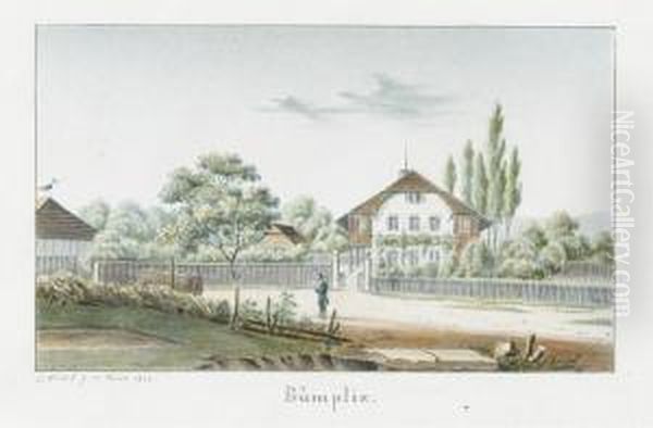 Bumpliz - view 1