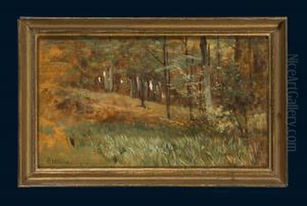 Waldlandschaft - view 1