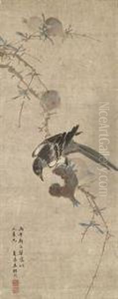 Magpie And Pomegranates - view 1