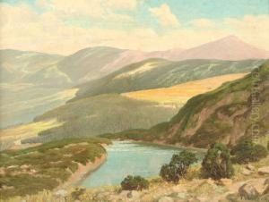 Paul (1867 Breslau -hirschberg/schlesien, Ak Breslau Bei E.morgenstern Und In Berlinbei E.bracht) "riesengebirge", Ol Auf Malkarton, 55 X 69, Untenrechts Signiert, R.