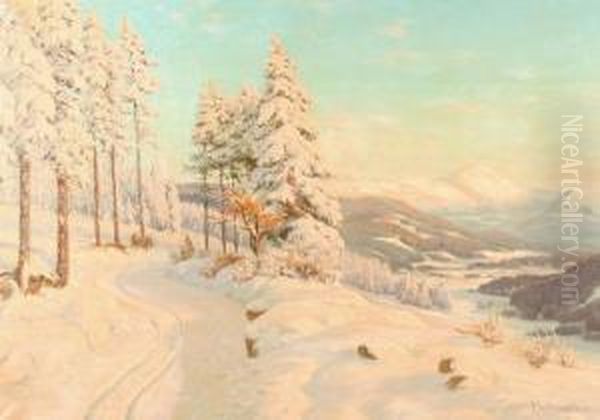 Wintermorgen Imriesengebirge - view 1