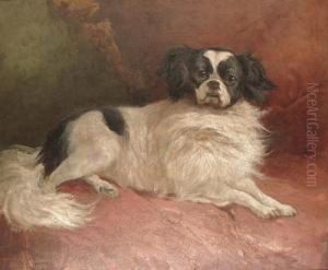 A Japanese Chin by Anton Weinberger
