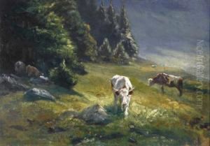 Kuhe Auf Derweide Am Rand Des Waldes