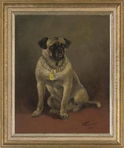 A Well Behaved Pug - view 1