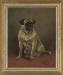 A Well Behaved Pug by Anton Weinberger
