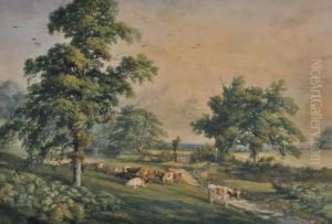 Cattle In A Meadow by Harrison William Weir
