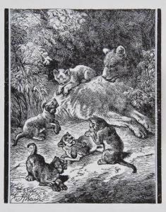 A Lioness With Five Cubs by Harrison William Weir