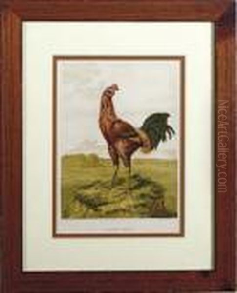 Comprising The Breeding And Management Of Profitable And Ornamental Poultry: Seven Plates - view 1