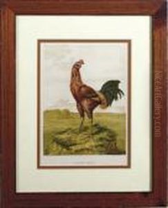 Comprising The Breeding And Management Of Profitable And Ornamental Poultry: Seven Plates by Harrison William Weir