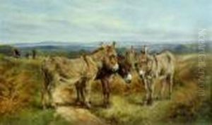 Three Donkeys On A Hilltop by Harrison William Weir