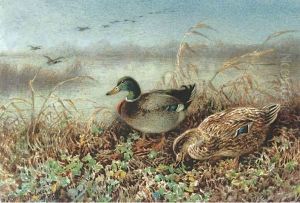 Mallards On A Bank by Harrison William Weir