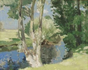 Partie An Einem Kleinen Bachlauf by Robert Weise