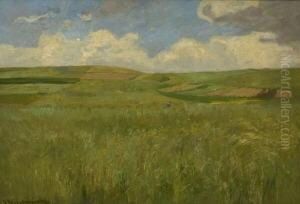 Weite Sommerlandschaft. by Viktor Weishaupt