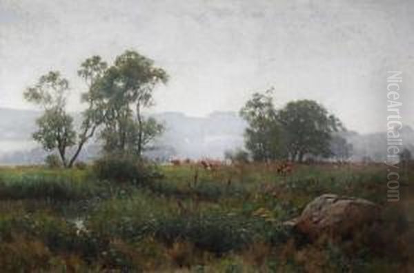 Cattle In A Meadow - view 1