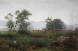Cattle In A Meadow by Jose Weiss