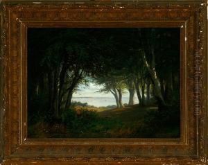 By The Edge Of A Wood Near The Great Sound I Denmark, Summer by Joseph Andreas Weiss